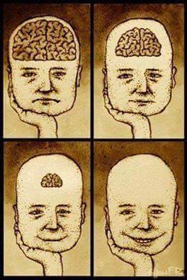 cerebro