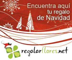 Navidad 300x250